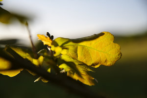 IMG_5470.jpg IMG_5470.jpg