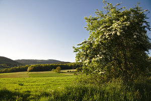 IMG_5473.jpg IMG_5473.jpg