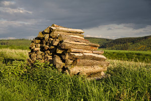 IMG_5483.jpg IMG_5483.jpg