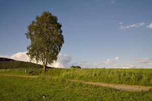 IMG_5485.jpg IMG_5485.jpg