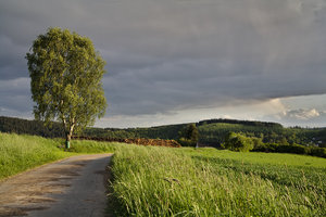 IMG_5487.jpg IMG_5487.jpg