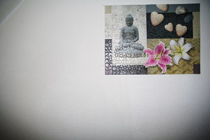 IMG_5554.jpg IMG_5554.jpg