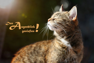 IMG_5786e.jpg IMG_5786e.jpg