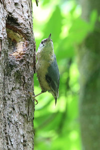 IMG_5893a.jpg IMG_5893a.jpg