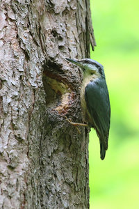 IMG_5916a.jpg IMG_5916a.jpg