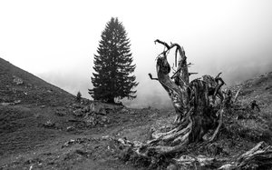 comp_DSC_3487.jpg comp_DSC_3487.jpg