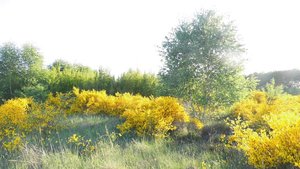 DSCI0491_(1024_x_768) (2).jpg