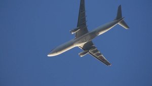 DSCI0519_(1024_x_768).jpg DSCI0519_(1024_x_768).jpg