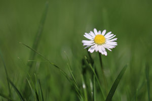 IMG_6210a.jpg IMG_6210a.jpg