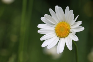 IMG_5805a.jpg IMG_5805a.jpg