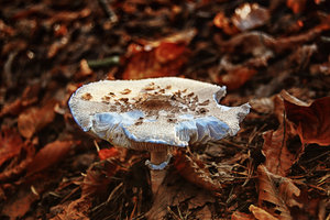 Computer sonne und Mond  (5)-Bearbeitet.jpg