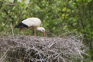 Small_DSC_7154.jpg Small_DSC_7154.jpg