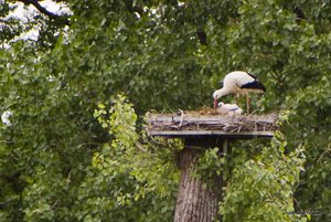 Small_DSC_7314.jpg Small_DSC_7314.jpg