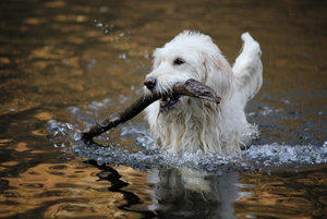 IMG_2316a.jpg IMG_2316a.jpg