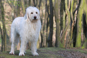 IMG_3319a.jpg IMG_3319a.jpg