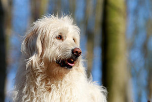 IMG_3518b.jpg IMG_3518b.jpg