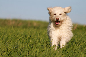 IMG_4005a.jpg IMG_4005a.jpg