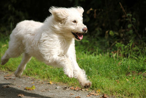 IMG_6641a.jpg IMG_6641a.jpg