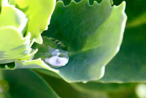 IMG_6389a.jpg IMG_6389a.jpg