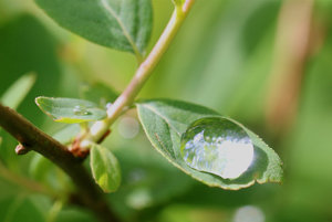 IMG_6400a.jpg IMG_6400a.jpg