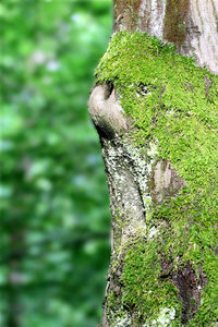 IMG_6404a.jpg IMG_6404a.jpg