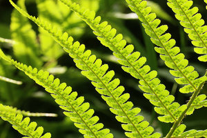 IMG_6426a.jpg IMG_6426a.jpg