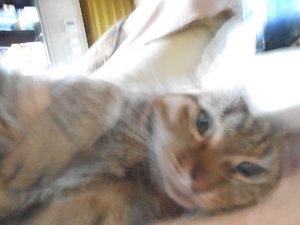 DSCN0102.jpg DSCN0102.jpg