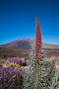 20150415-IMG_5323.jpg 20150415-IMG_5323.jpg