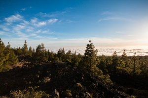 20150416-IMG_5383.jpg 20150416-IMG_5383.jpg