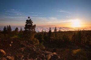 20150416-IMG_5443.jpg 20150416-IMG_5443.jpg