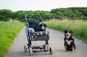 für Fotoforum (1 von 5).jpg