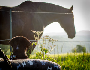 für Fotoforum (2 von 5).jpg