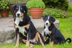 für Fotoforum (4 von 5).jpg