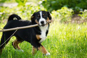 für Fotoforum (5 von 5).jpg