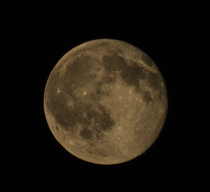 DUAL7493.jpg DUAL7493.jpg