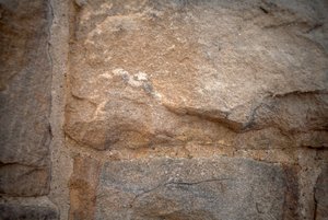 comp_IMG_1480.jpg comp_IMG_1480.jpg