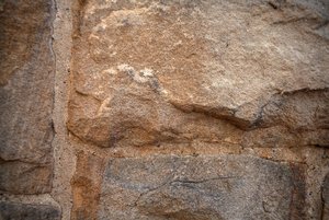 comp_IMG_1481.jpg comp_IMG_1481.jpg