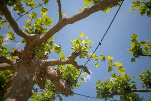 comp_IMG_1495.jpg comp_IMG_1495.jpg