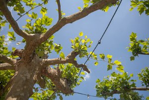 comp_IMG_1496.jpg comp_IMG_1496.jpg