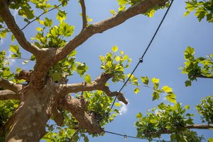 comp_IMG_1497.jpg comp_IMG_1497.jpg