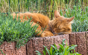 P1080591-HDR-1.jpg P1080591-HDR-1.jpg