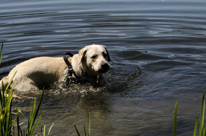 _DSC7067.jpg _DSC7067.jpg