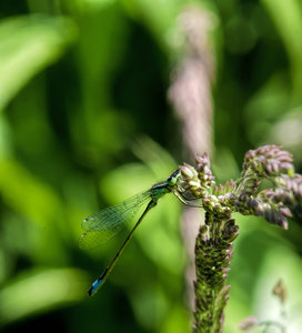 _DSC7113.jpg _DSC7113.jpg