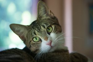 500k_IMG_6228.jpg 500k_IMG_6228.jpg