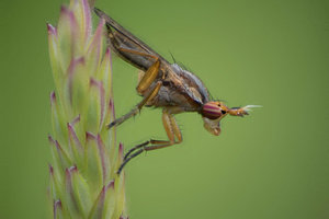 2015-05-28-15.51.38 ZS DMap-1.jpg