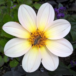 Bilderforum 2.jpg Bilderforum 2.jpg