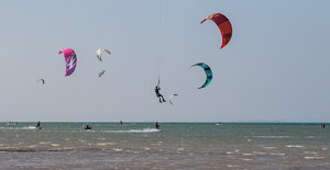 IMG_8206.jpg IMG_8206.jpg