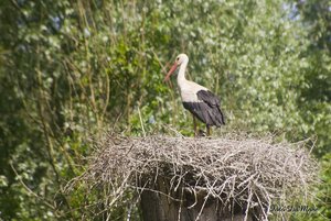 Small_DSC_8364.jpg Small_DSC_8364.jpg