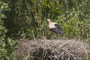 Small_DSC_8389.jpg Small_DSC_8389.jpg