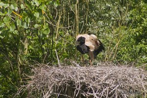 Small_DSC_8390.jpg Small_DSC_8390.jpg